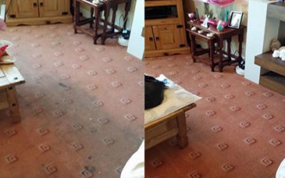 The Significance of Regular Carpet Cleaning in Worcester: A Clean and Healthy Home