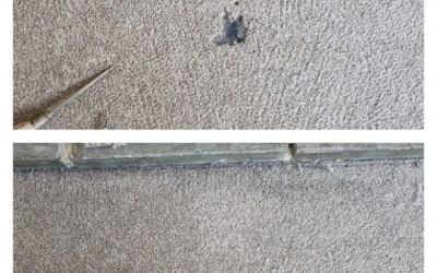 Finding the Perfect Carpet Repair Service: A Comprehensive Guide to Restoring Your Carpets