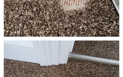 Carpet Repairs for Autumn: Keeping Your Floors Pristine