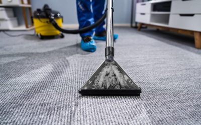 Spring Cleaning: Carpet Revival